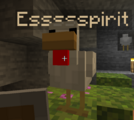 Essssspirit